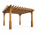 Pergola en bois de cèdre massif 300x300x240 cm - 2026