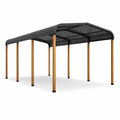Abri de voiture en aluminium et polycarbonate noir bois - 2026
