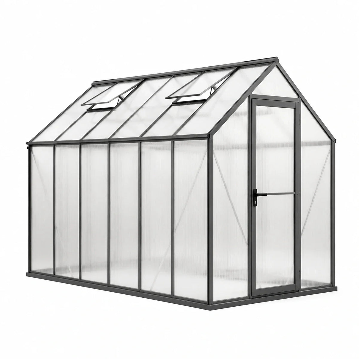 Serre aluminium et polycarbonate 310x190x230 cm - 2026