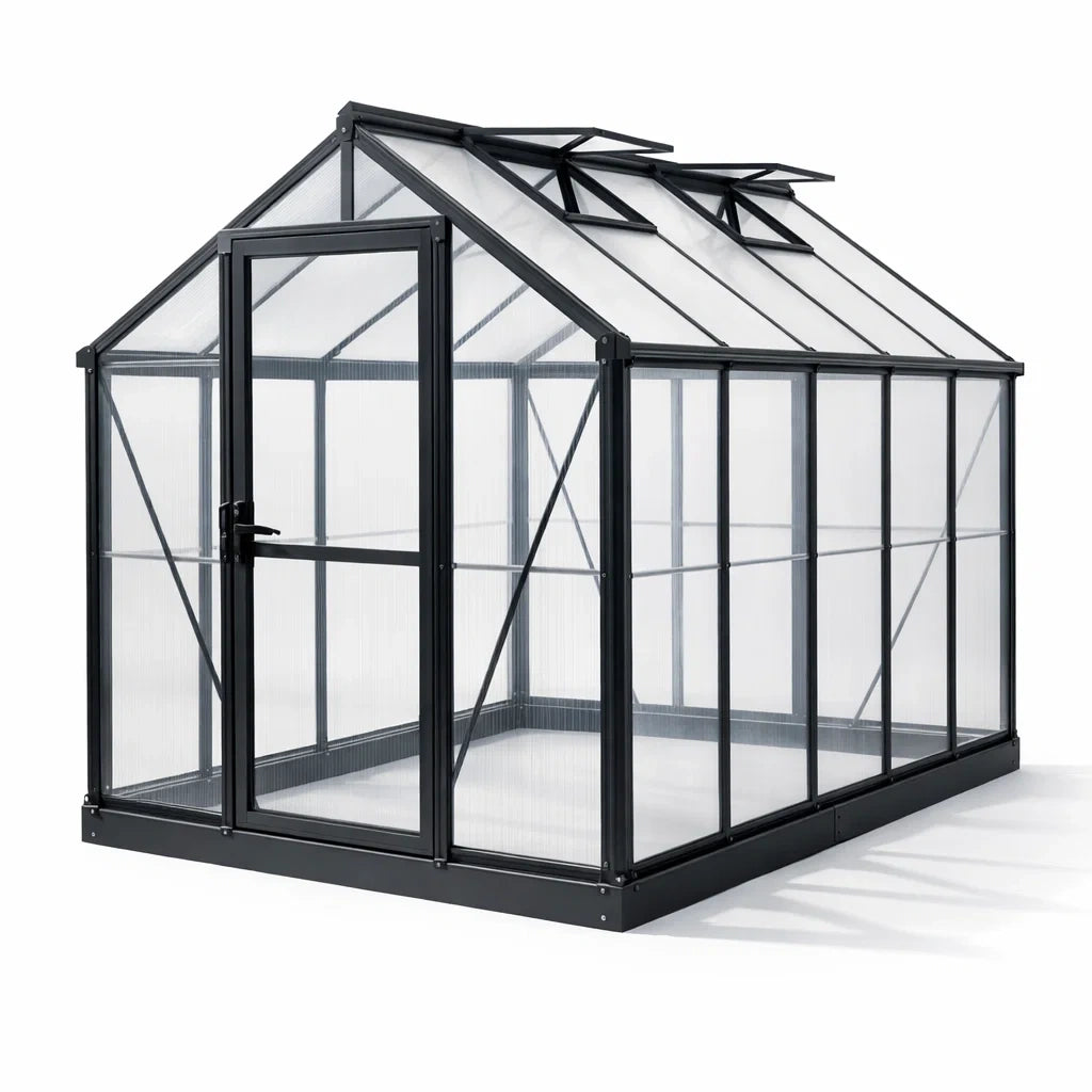 Serre en aluminium avec panneaux en polycarbonate transparent et cadre noir 250 x 190 x 195 cm - 2026
